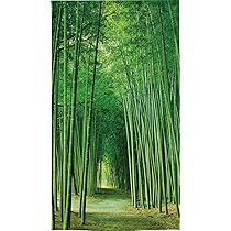 Amazon.co.jp: のれん工房 のれん 風景 景色 緑 タペストリー ポスター