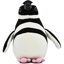 Amazon.co.jp: AQUA ぬいぐるみ マリン ペンギン コレクション