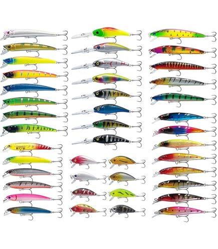 ケース付き Lanx. ルアーセット 56個 釣具セット 大量 川 海 湖 渓流