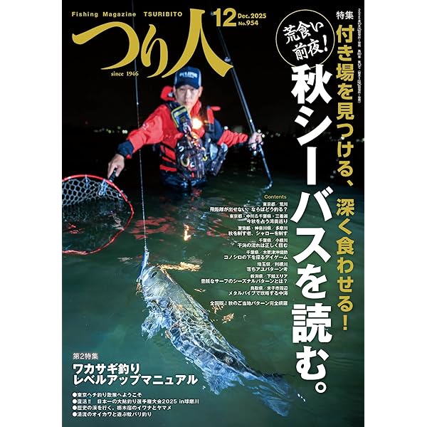 釣り人 投げカレイ釣りで34cmマコ 潮動き出しでヒット【兵庫・東二見人工島
