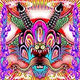 DELiCiOUS ViCiOUS(初回生産限定盤)(CD+Blu-ray)(スマプラ対応) - ASP