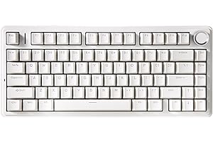 YUNZII B75 ガスケット搭載 メカニカルキーボード TKL 75% 5層フォーム ノブ付き 有線ゲーミングキーボード 半透明 キーキャップ ホットスワップ対応 ブルーLED WIN/MAC 用（グレーウッドスイッチ、ホワイト）