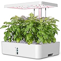 iDOO 水草育成キット 液体肥料付き Amazon.co.jp: iDOO 水耕栽培キット すいこう栽培キット 家庭