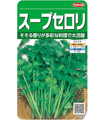 Amazon.co.jp: 植物種子 巨大セロリアーク（根セロリ）種 60粒 : DIY