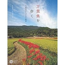 色紙 扇子 犬養孝 複製書 まとめ売り / 萬葉は青春のいのち 色紙 扇子 犬養孝 複製書 まとめ売り / 萬葉は青春のいのち 2025