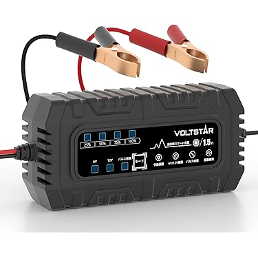 Amazon.co.jp 最新リリース: 車用バッテリー充電器 の新着ランキングです。