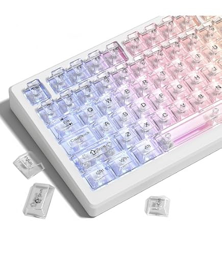 Amazon.co.jp: アークナイツ：エンドフィールド ザイヒ キーキャップ