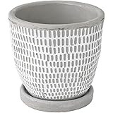 Amazon ハイポネックス 観葉植物用培養土 お家の中でも清潔なサボテン 多肉 観葉植物の土 1l 用土