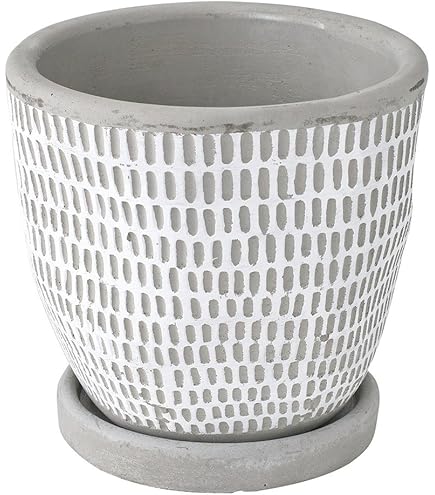 盆栽鉢　陶器　一陶園 Amazon.co.jp: 盆栽鉢 植木鉢 一陶園 山野草 多肉植物 : DIY・工具