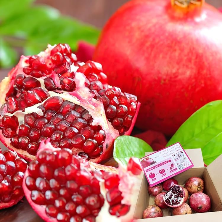 Amazon | 【KIMONO FRUITS】冷凍ザクロ 500g （イスラエル産）冷凍