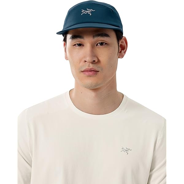コーマッククルーLS ナイトスケープヘザー　Mサイズ　2025年モデル　新品 Amazon | [アークテリクス] コーマック クルー ロングスリーブ メンズ