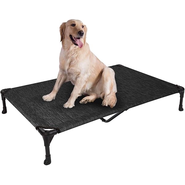 cot style dog bed
