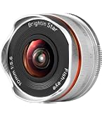 Nikon DX fisheye lens 10.5mm G