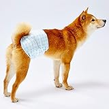 【Amazon.co.jp限定】Petzone ペティオ エチケットウェア男の子用 Mサイズ 38枚入