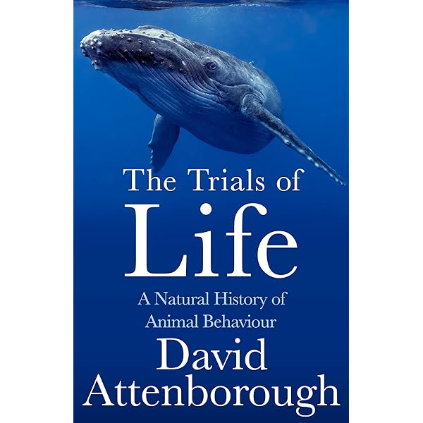 洋書 Life on Earth Amazon | Life on Earth | Attenborough, David | Wildlife