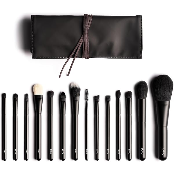 Amazon.co.jp: SOYO ディスカバー セット（10本＋ケース付