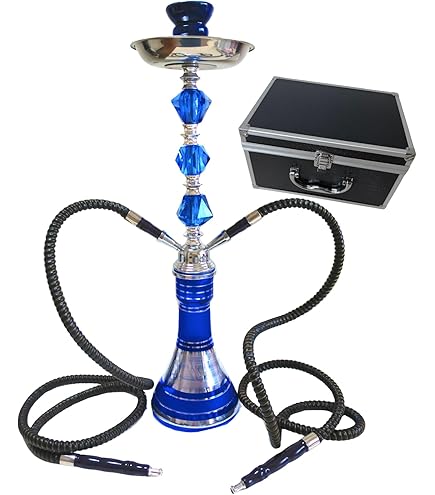 Amazon.co.jp: シーシャ 本体 エジプトの本格シーシャパイプ(GOLD