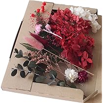 71EFNWfiUML._AC_UL210_SR210,