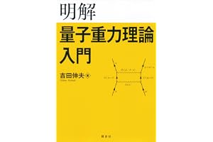 明解量子重力理論入門 (ＫＳ物理専門書)