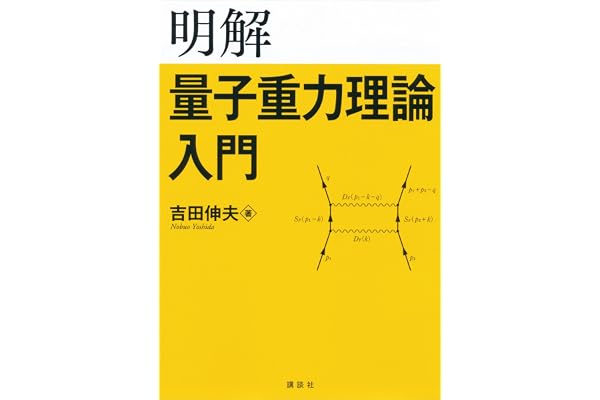 明解量子重力理論入門 (ＫＳ物理専門書)