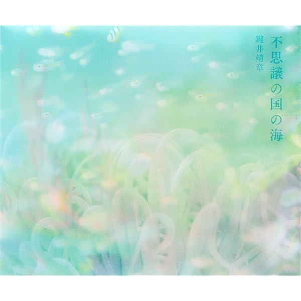 彩りの海 | 鍵井 靖章 |本 | 通販 | Amazon