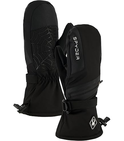 Spyder Mens Insulated Winter Ski Gloves, Dusty Green, M : Amazon
