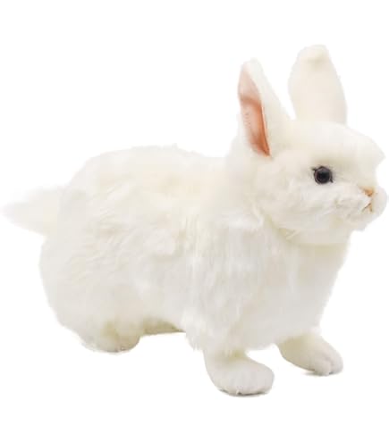 Amazon.co.jp: mojojojo ぬいぐるみ Teddy JOJO ウサギ : おもちゃ