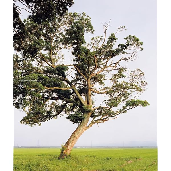 気仙川 | 畠山 直哉 |本 | 通販 | Amazon