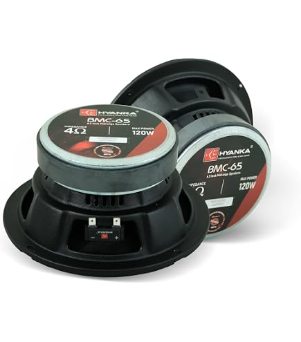 Amazon.co.jp: H YANKA BSF-10-4 10インチサブウーファー - 1000W 最大
