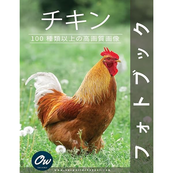 Amazon.co.jp: 日本鶏・外国鶏 カラー版 : 立松 光好: Japanese