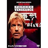 チャック・ノリスの地獄の復讐 [DVD]