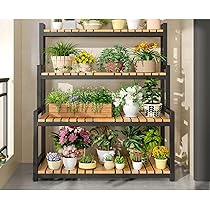 71EVUZGwrjL._AC_UL210_SR210,