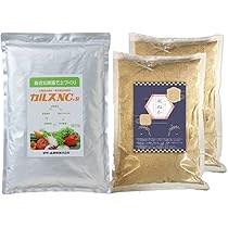 安いよ　コスタリカ産　アウリガヌスキンイロコガネ　25mm スネーク (White-Copper) | リヤドロ公式オンライン