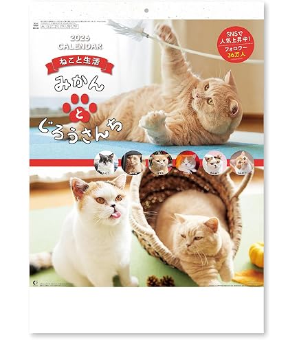 Amazon | ねこと生活 みかんとじろうさんち 壁掛け[2025Calendar