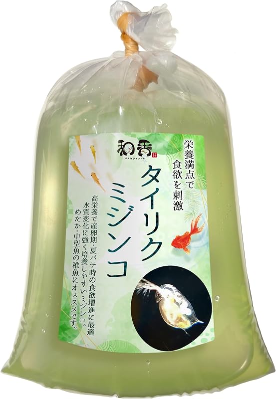 和香 タイリクミジンコ 100匹 活餌 めだか 金魚 ゾウリムシ生クロレラ PSB 夏休み 自由研究 栄養価