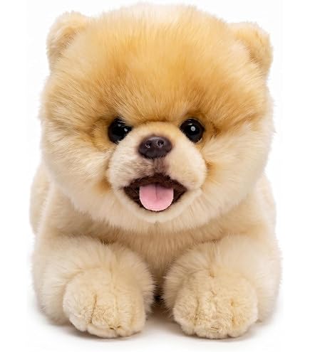 Amazon.co.jp: ポメラニアンもち おめかしリボン ぬいぐるみBIG : おもちゃ