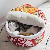 Amazon 猫 犬 小動物 カップ麵ペットハウス うどん エムズ ハウス 通販