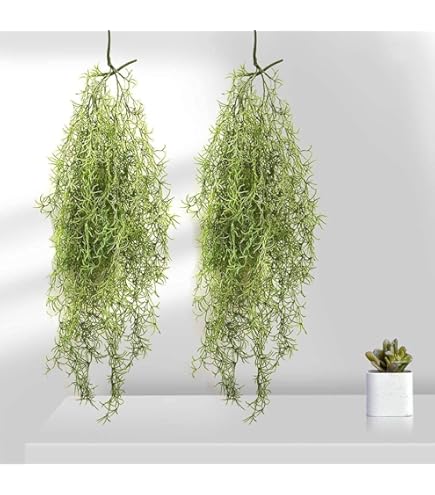 Amazon｜2本入り エアープランツ 造花 フェイクグリーン インテリア