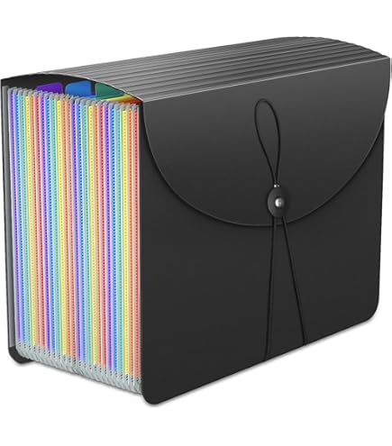 DALLtif Folder Expanding File Folder File Organizer 13 Pockets File - View #3