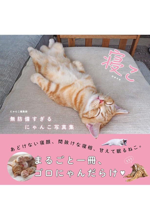 Amazon.co.jp: へそ天にゃんこ2: 心のマッサージ めいっぱい! (単行本