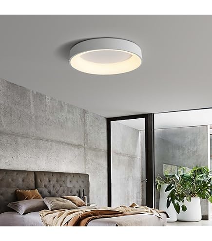 Amazon.co.jp : NJTOZXZC シーリングライト 北欧 LED 8畳 円盤 丸形