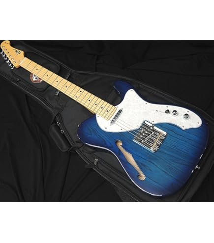 FUJIGEN フジゲン JOS2-FM-R エレキギター Amazon | FUJIGEN JOS2-FM-R/01 2TB エレキギター フジゲン