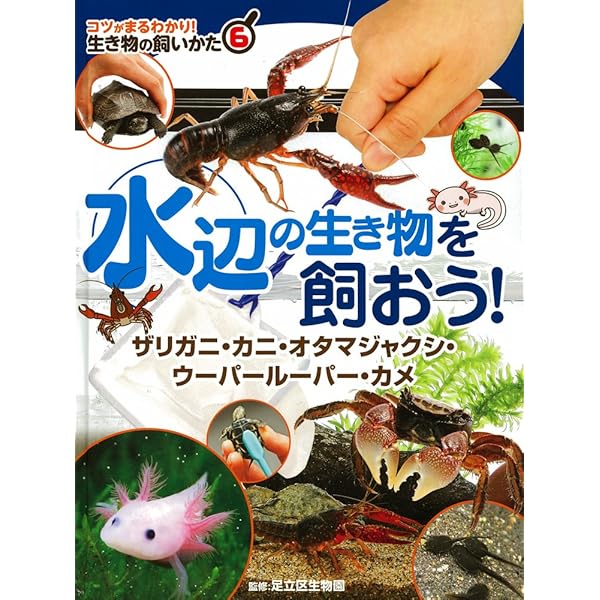 手に取るようにわかるエビ・カニ・ザリガニの飼い方 (インドア