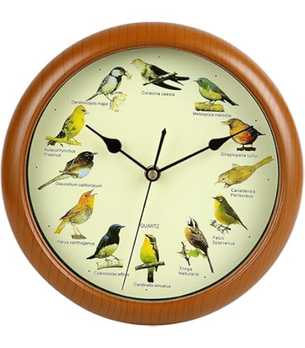 新品・未使用、森永 KOEDA 時計 おもちゃ 小鳥付き 新品・未使用、森永 KOEDA 時計 おもちゃ 小鳥付き