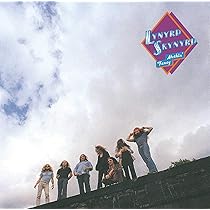 Street Survivors [LP]: Amazon.sg: Music