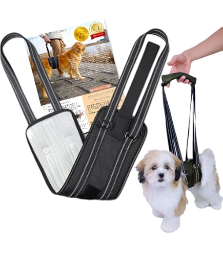 Amazon | 歩行補助ハーネスLaLaWalk 小型犬ダックス兼用 緑チェック