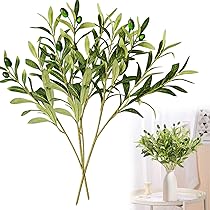 71Eit5RUHnL._AC_UL210_SR210,