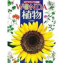 71Eko0VQxVL._AC_UL210_SR210,