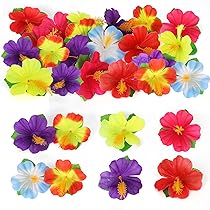 〈必見〉ハワイアンレトロ希少品 ハイビスカスの花付き女性の顔像 Amazon.co.jp: ITANSE ハイビスカス ハワイアンフラッグ 3
