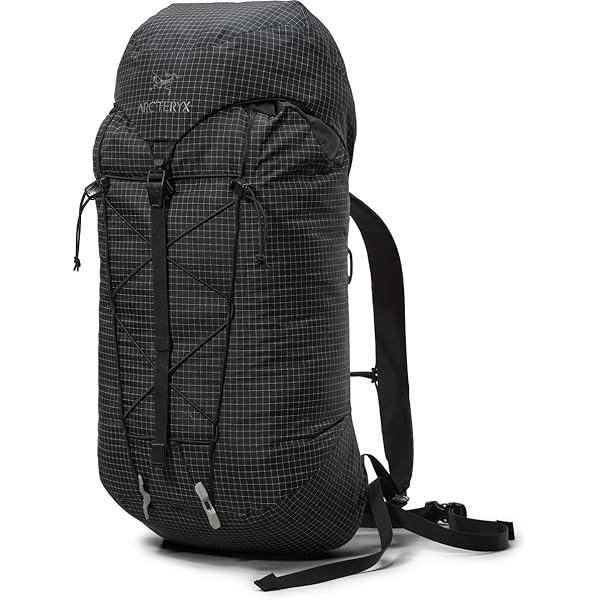 Amazon.co.jp: [アークテリクス] Mantis 20 バックパック